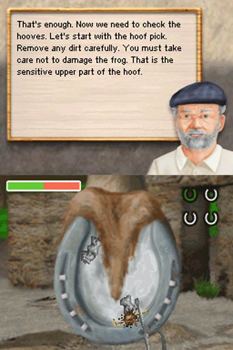 Серия от Dreamer: Треньор на коне - Nintendo DS