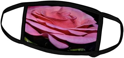3dRose Целувка на Роза - това е снимка на красива розова роза с мана. - Капаци за лице (fc_183570_2)