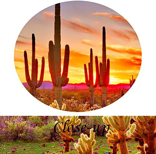 Творческа Изкуство - Картините с Естествена Природа, Стенно Изкуство, Залез слънце с Saguaro в пустинята Сонора, 5 бр., Печат на картини върху Платно за съвременния дом декорации (Голям Размер 60x32 инча)