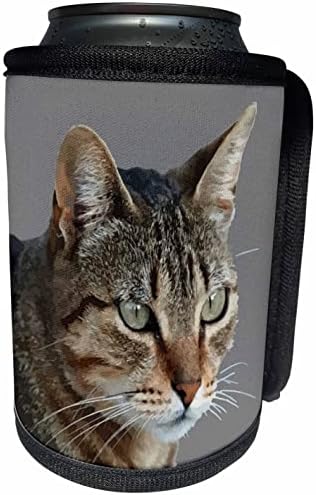 3D Равен Страхотна шарени котка отблизо Във векторен портрета сив цвят. - Опаковки за бутилки-охладители (cc_356096_1)
