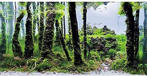 СТРАХОТЕН фон за аквариум, подводни дървета, на фона на горското аквариум, винил 24x12 инча